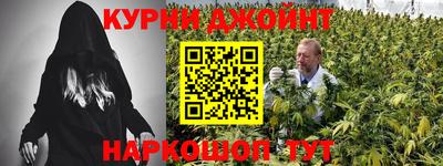 jwh Ставрополь