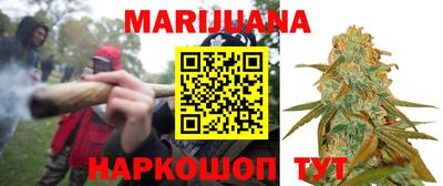 спайс Тара