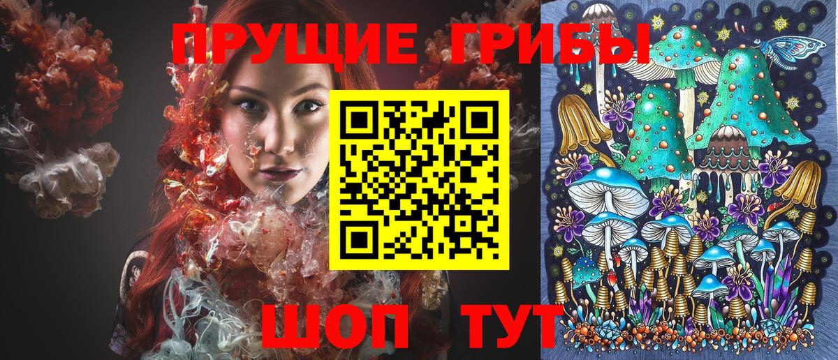 Ртищево  Псилоцибиновые грибы мухоморы  Вход с VPN 